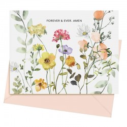 Cards-Boxed Set-The Word Of...
