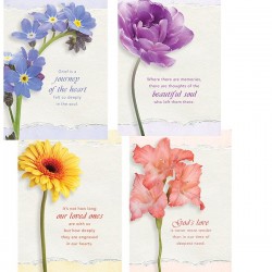 Card-Boxed-Journey Of The...