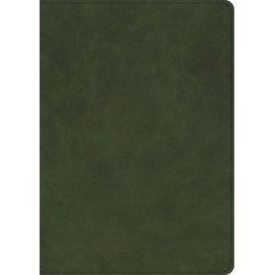 CSB She Reads Truth Bible...