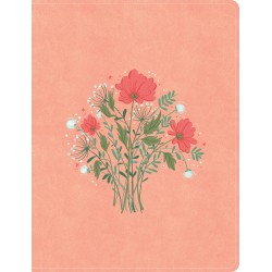 CSB Illustrator's...