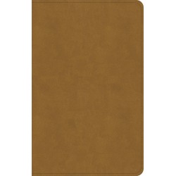 KJV Personal Size...