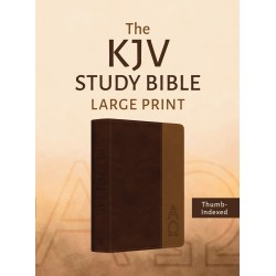 KJV Study Bible  Large...
