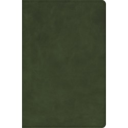 CSB Giant Print Bible...