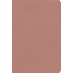 CSB Study Bible  Personal...