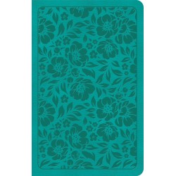 KJV Personal Size...