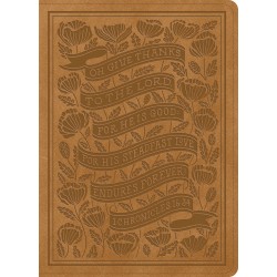 ESV Illuminated Bible-Art...