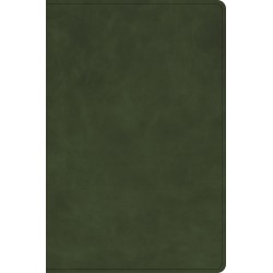 KJV Giant Print Bible...