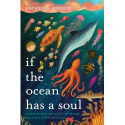 If The Ocean Has A Soul