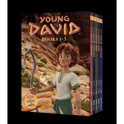 Young David Series Box Set...