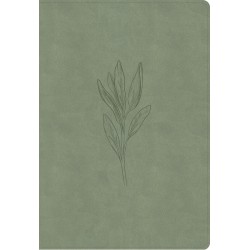 NASB 2020 Super Giant Print...