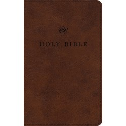 ESV Large Print Premium...