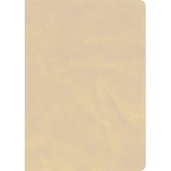 CSB She Reads Truth Bible...