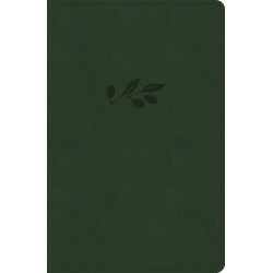 KJV Personal Size Giant...