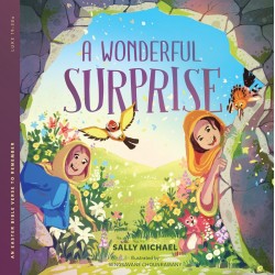 A Wonderful Surprise (Bible...