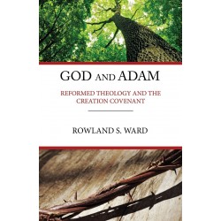God and Adam