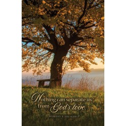 Bulletin-Nothing Can...