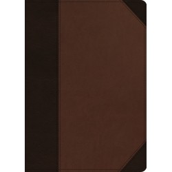 ESV Archaeology Study...