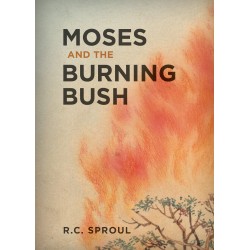 Moses And The Burning Bush