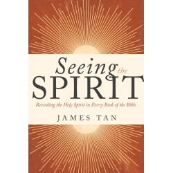 Seeing The Spirit