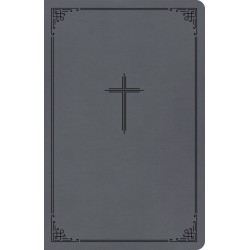 CSB Thinline Bible (Value...