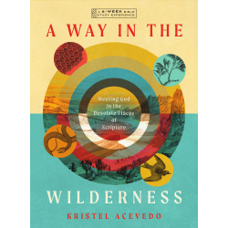 A Way In The Wilderness