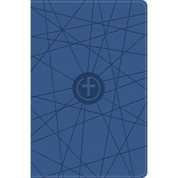 CSB One Big Story...