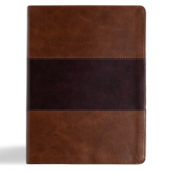 KJV Study Bible/Large Print...