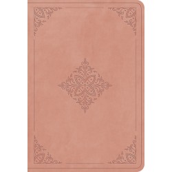 ESV Value Large Print...