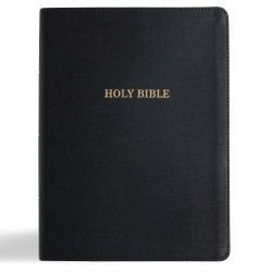 KJV Study Bible/Large Print...