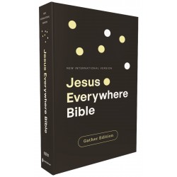 NIV Jesus Everywhere...