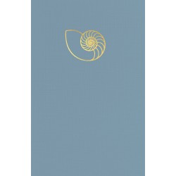 Coastal Infinity Seashell...