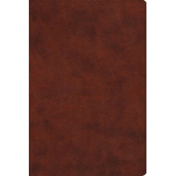 ESV Everyday Gospel...