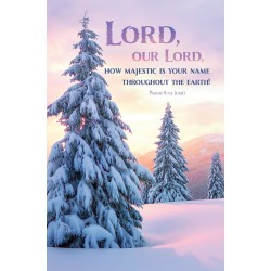 Bulletin-Lord  Our Lord...