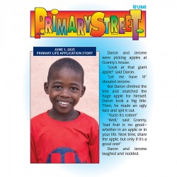 UMI SUMMER 2025 Primary...