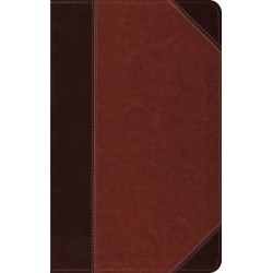 ESV Thinline Bible...