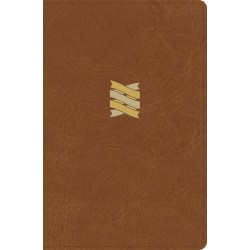 CSB Connecting Scripture...