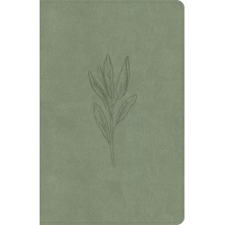 KJV Thinline Bible-Sage...