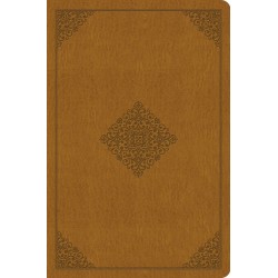 ESV Value Compact...