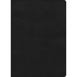 CSB Study Bible/Large Print...