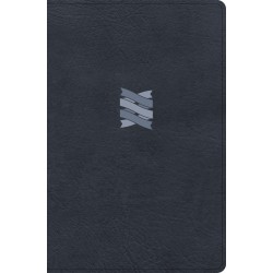 CSB Connecting Scripture...