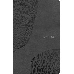 CSB Single-Column Compact...