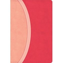 CSB Rainbow Study Bible...