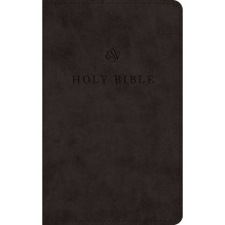 ESV Premium Church...