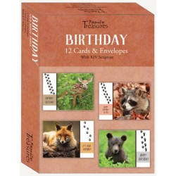 Card-Boxed-Birthday-Wild...