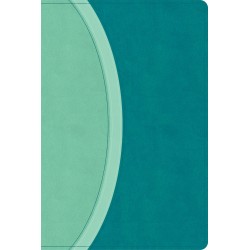 CSB Rainbow Study Bible...