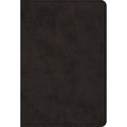 ESV Value Large Print...