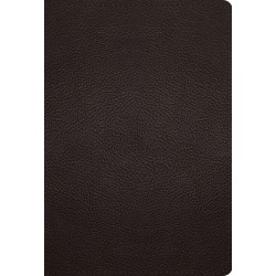 ESV Large Print Compact...