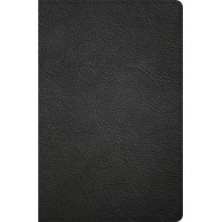 NASB 2020 Personal Size...