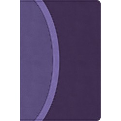 CSB Rainbow Study Bible...