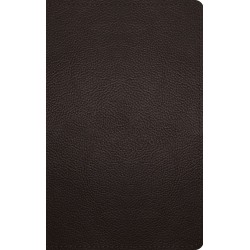 ESV Thinline Bible...